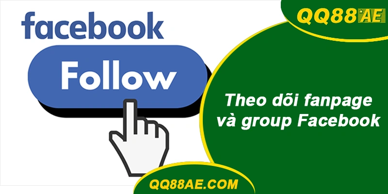 Theo dõi fanpage và group Facebook
